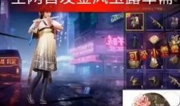 军需爆料最新今天消息,今日最新军事动态速览