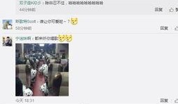 刘老师最新爆料微博视频,独家爆料幕后真相