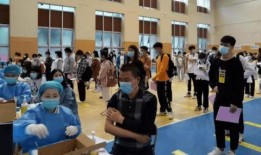 新疆导游爆料事件最新消息,揭秘背后真相与影响