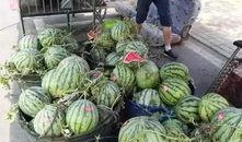 井陉吃瓜最新事件爆料,揭秘背后真相与争议焦点