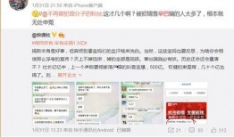 辛巴京东事件最新爆料,最新爆料揭露惊人内幕