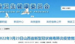 导航员最新爆料新闻视频,最新爆料新闻视频深度解析