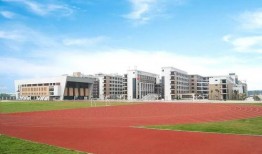 惠州市中学爆料案件最新,真相揭开，校园安全再引关注