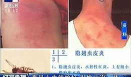 吃鸡皮肤爆料最新车皮肤,吃鸡游戏带你领略速度与激情