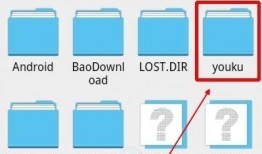 荣耀最新手机爆料视频下载,颠覆视觉体验，性能与设计双升级