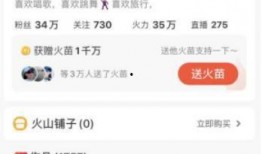 最新东北网红事件爆料,揭秘幕后真相与网络舆论风暴