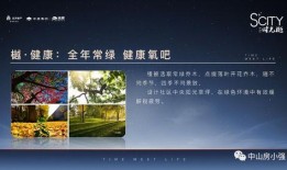 最新卤蛋爆料配方视频讲解,视频讲解带你轻松掌握美味秘诀