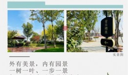 潢川头条最新爆料,最新爆料事件深度解析