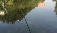 爆料如皋钓鱼视频最新版,揭秘钓鱼高手们的绝技与技巧