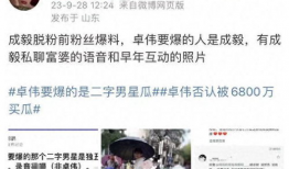 卓伟最新的爆料成毅