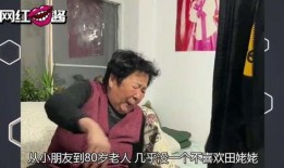 最新东北网红事件爆料,揭秘幕后真相与网络舆论风暴