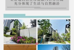 潢川头条最新爆料,最新爆料事件深度解析