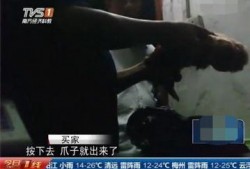 屠宰最新爆料视频,屠宰场内幕惊人曝光！