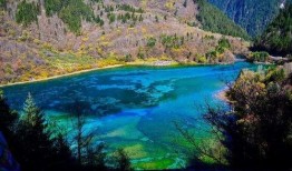 成都九寨沟最新爆料,揭秘神秘美景背后的故事