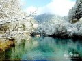成都九寨沟最新爆料,揭秘神秘美景背后的故事