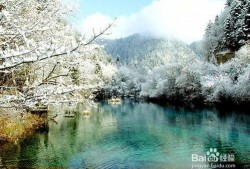 成都九寨沟最新爆料,揭秘神秘美景背后的故事
