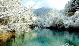 成都九寨沟最新爆料,揭秘神秘美景背后的故事