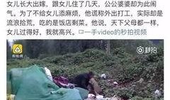羊村最新爆料事件,揭秘最新爆料事件背后的真相