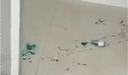 唐山丰润爆料事件最新消息,最新进展揭秘