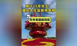 花篮网最新爆料,最新爆料背后的惊人真相