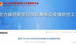 云南最新核酸爆料,揭秘疫情背后的真相与挑战