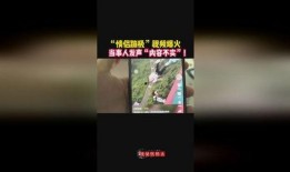 最新爆料蹦极视频播放下载,下载观看挑战极限