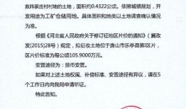 唐山丰润爆料事件最新消息,最新进展揭秘
