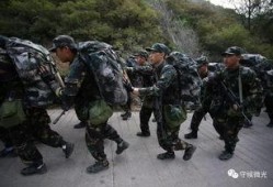 吃鸡军训爆料视频大全最新,最新爆料视频大盘点