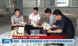 子牛门诊最新爆料,最新爆料背后的医疗行业真相